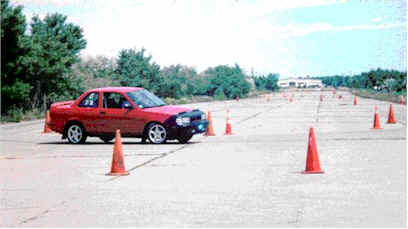 wpe2.jpg (11665 bytes)